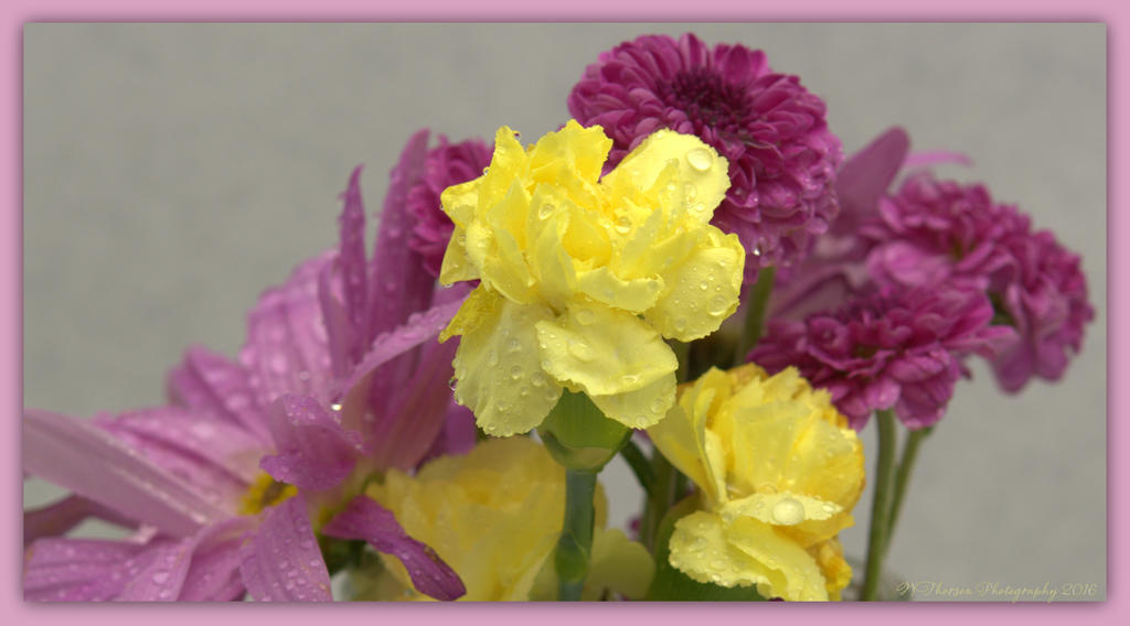 Yellow Carnations and Purple Flowers 4-5-2016.jpg