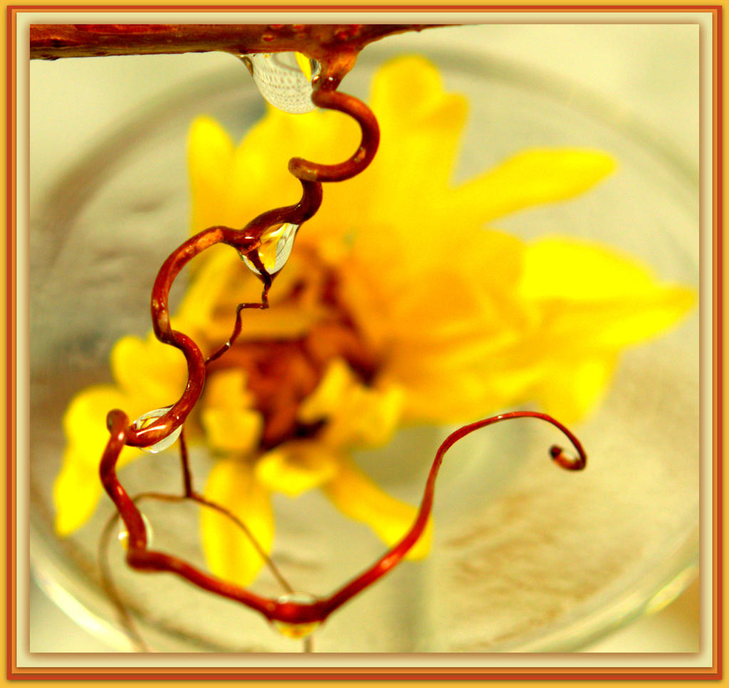 Yellow Flower with Curly Branch.jpg