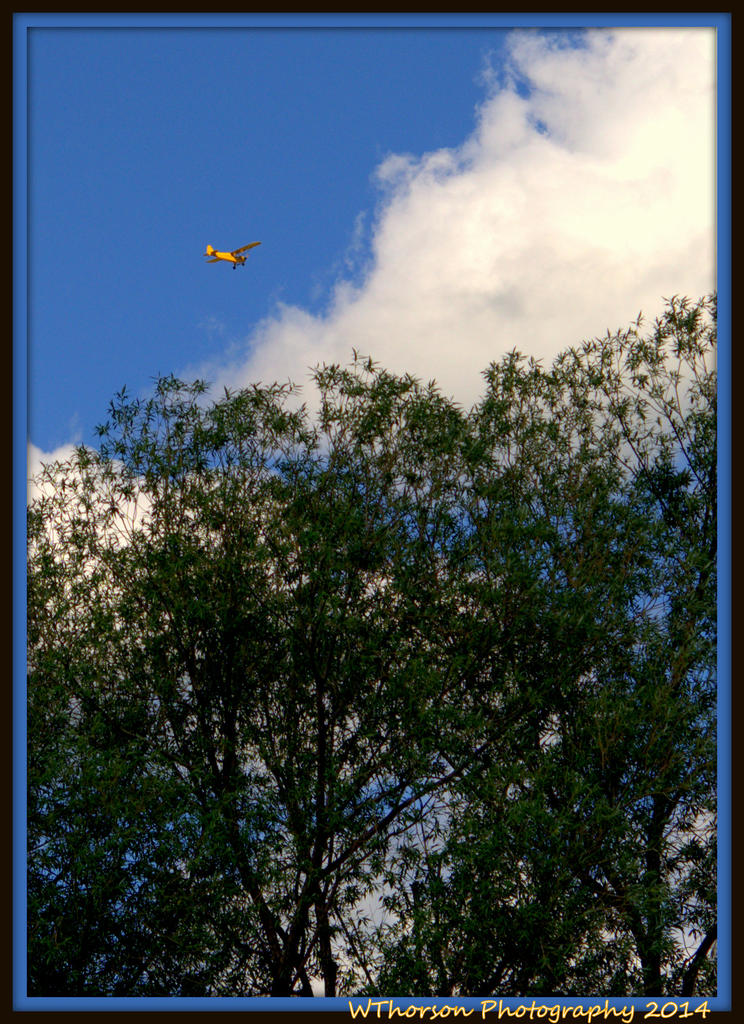 Yellow Plane.jpg