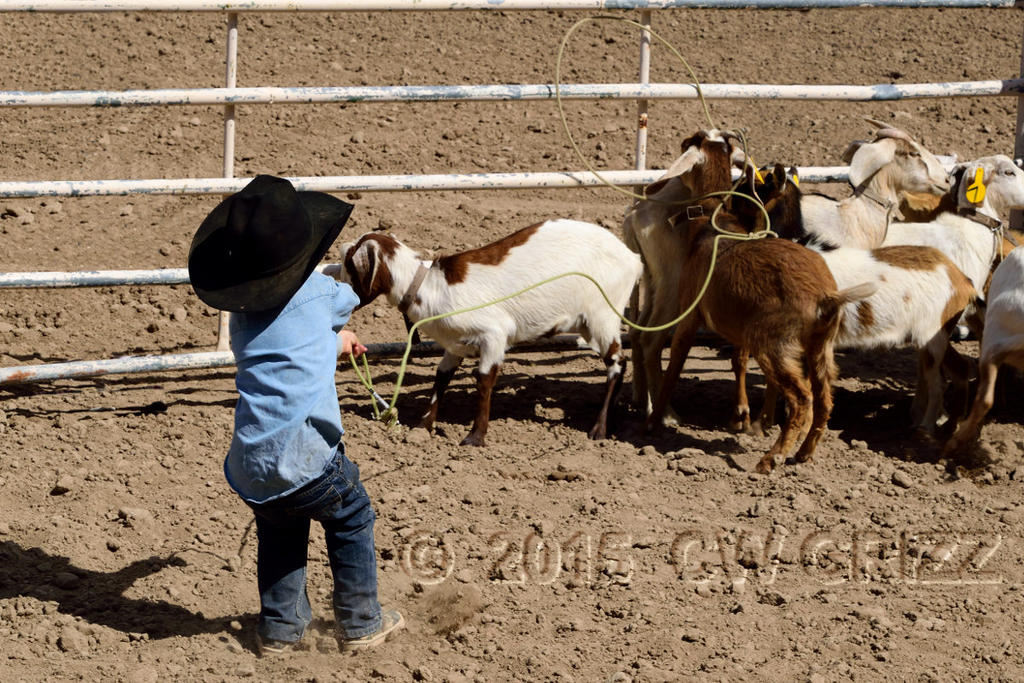 young-cowboy-cr.jpg