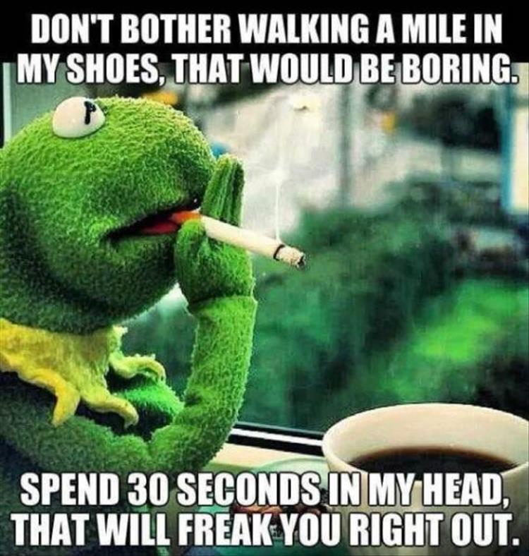 z-funny-119-3.jpg