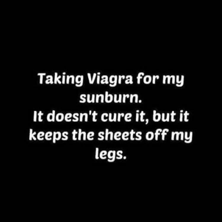 z-funny-12-5.jpg