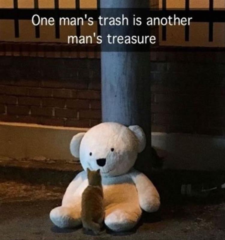 z-funny-179.jpg