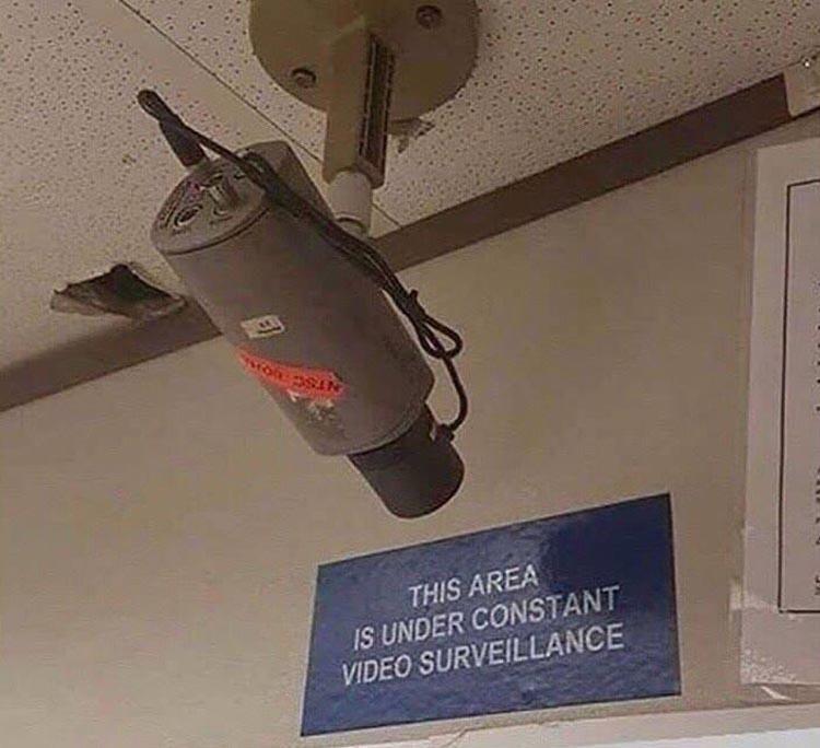 z-funny-207.jpg