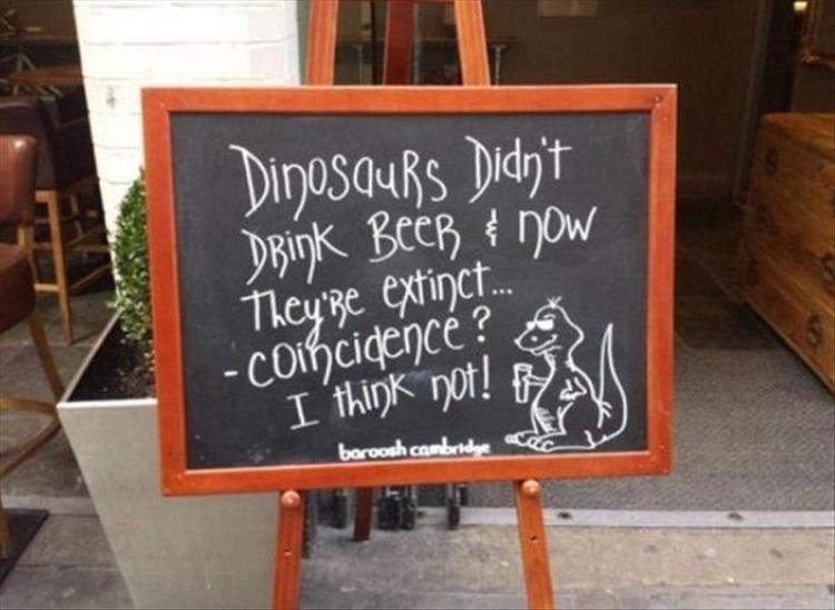 z-funny-257.jpg