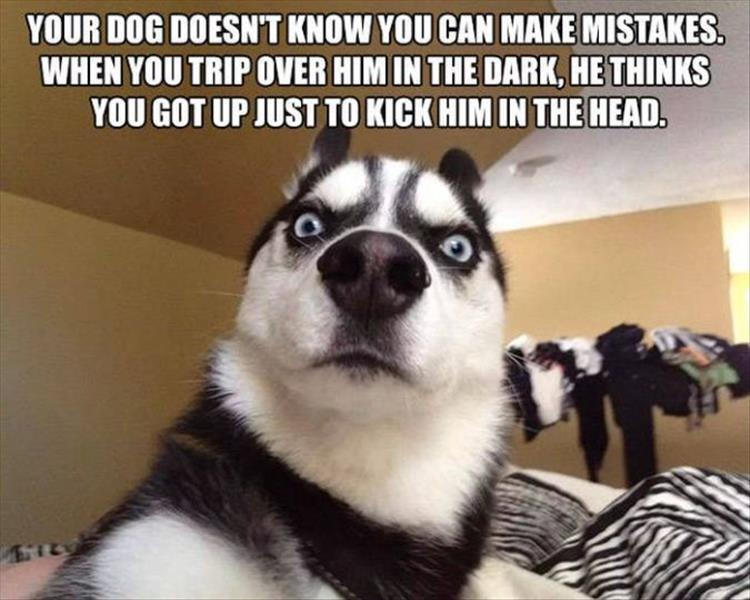 z-funny-274-1.jpg