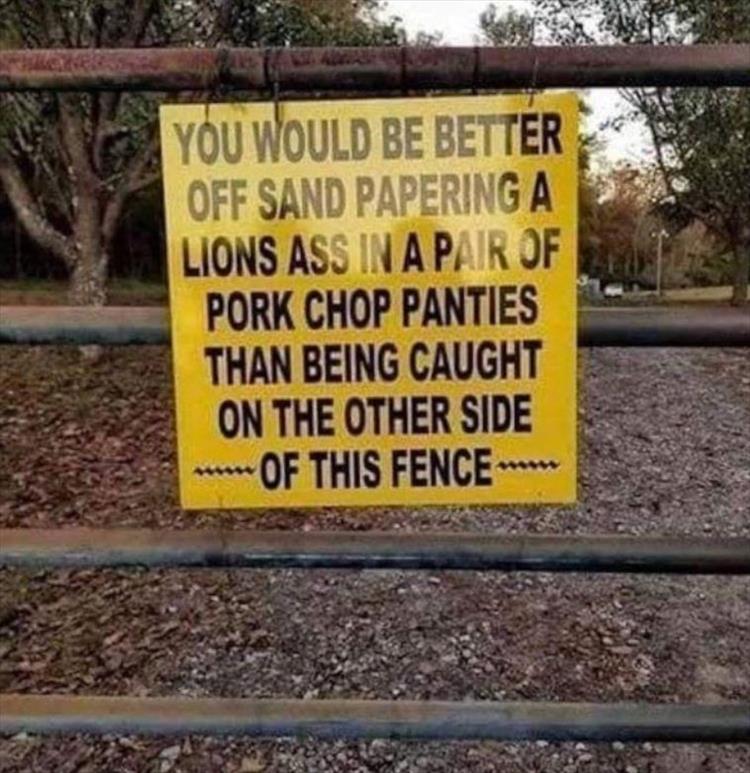 z-funny-47-1.jpg