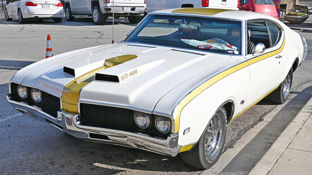 Z50_0003_LSh_cr_sm.jpg