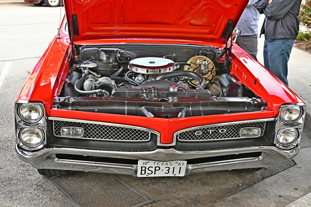 Z50_0053_L_sm.jpg