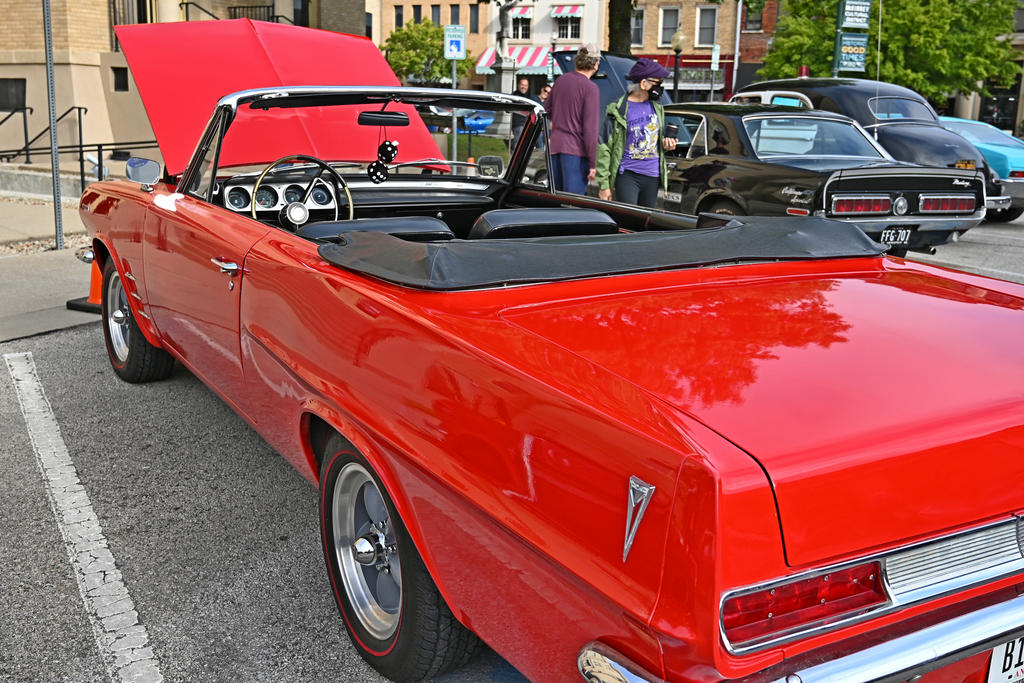 Z50_0063_L_sm.jpg