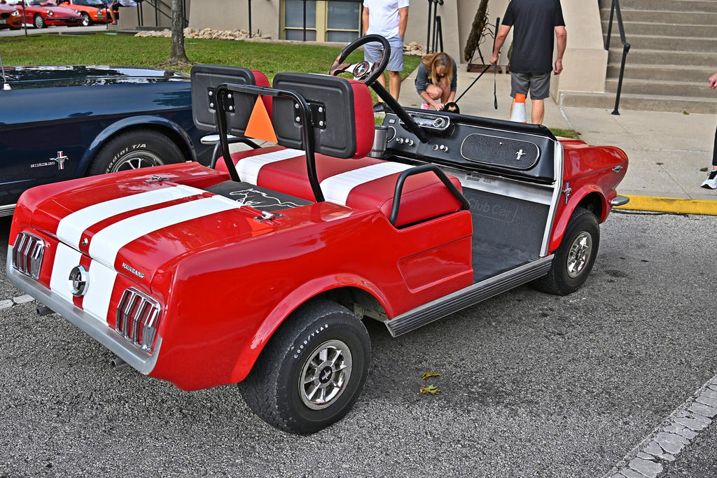 Z50_0092_L_sm.jpg