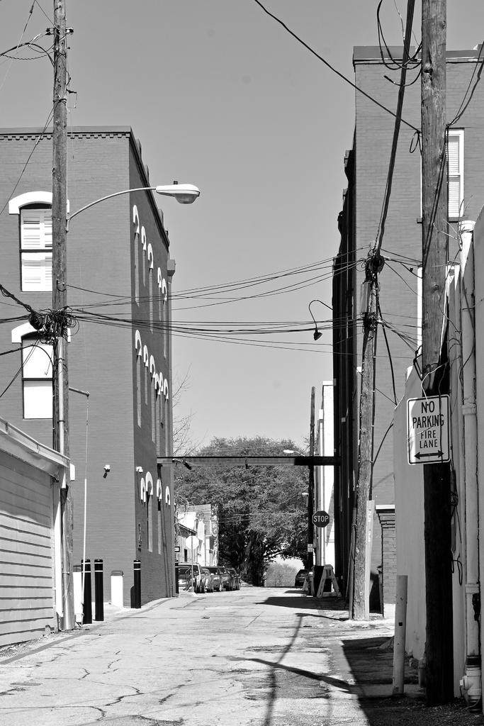 Z50_0093R_BW_cr.jpg