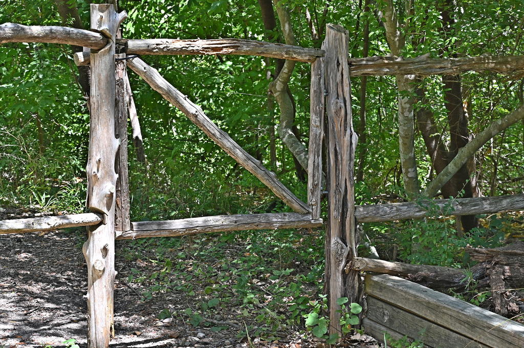 Z50_0094_LSS_cr_sm.jpg