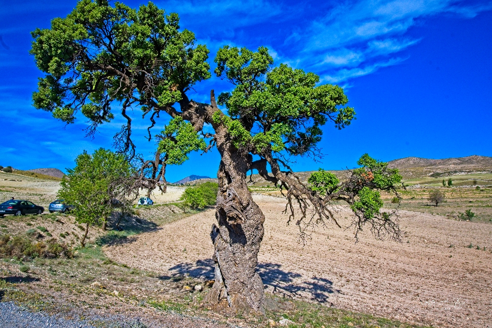 Z50_1404_00_Export.jpg
