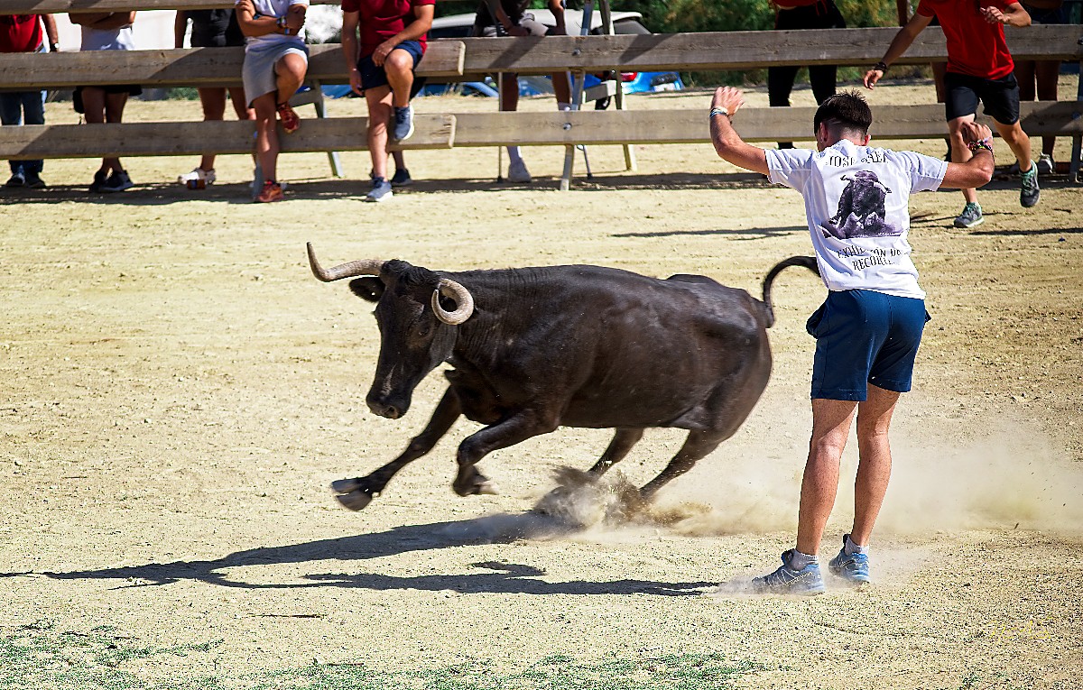 Z50_6889_17082023.jpg