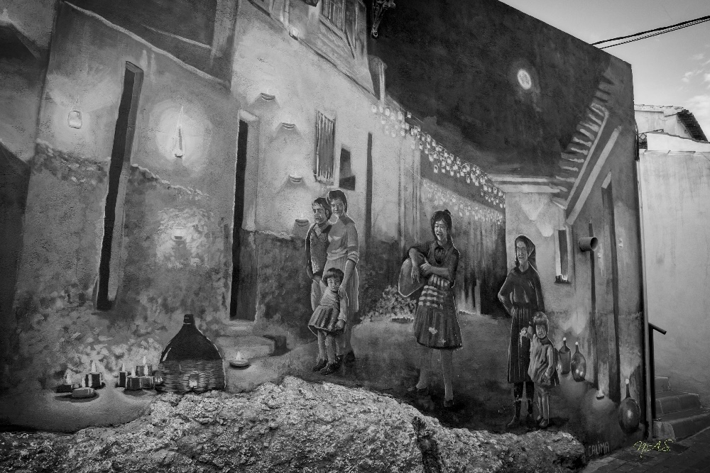 z50_8215_20231025-1-jpg.397629