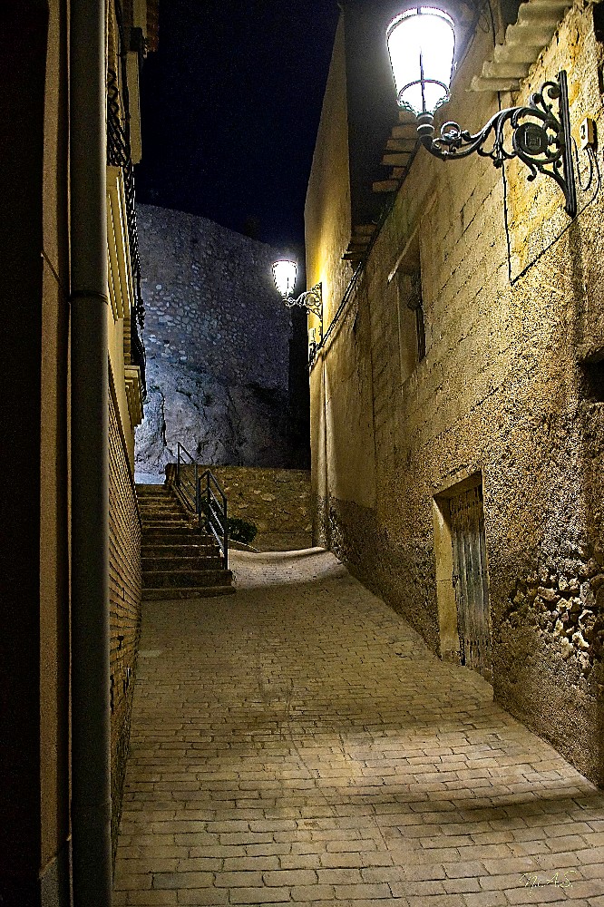 Z50_8243_25102023.jpg