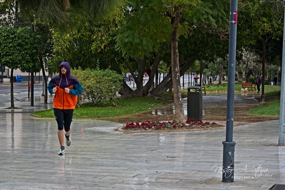 Z50_9679_01_Export 1.jpg