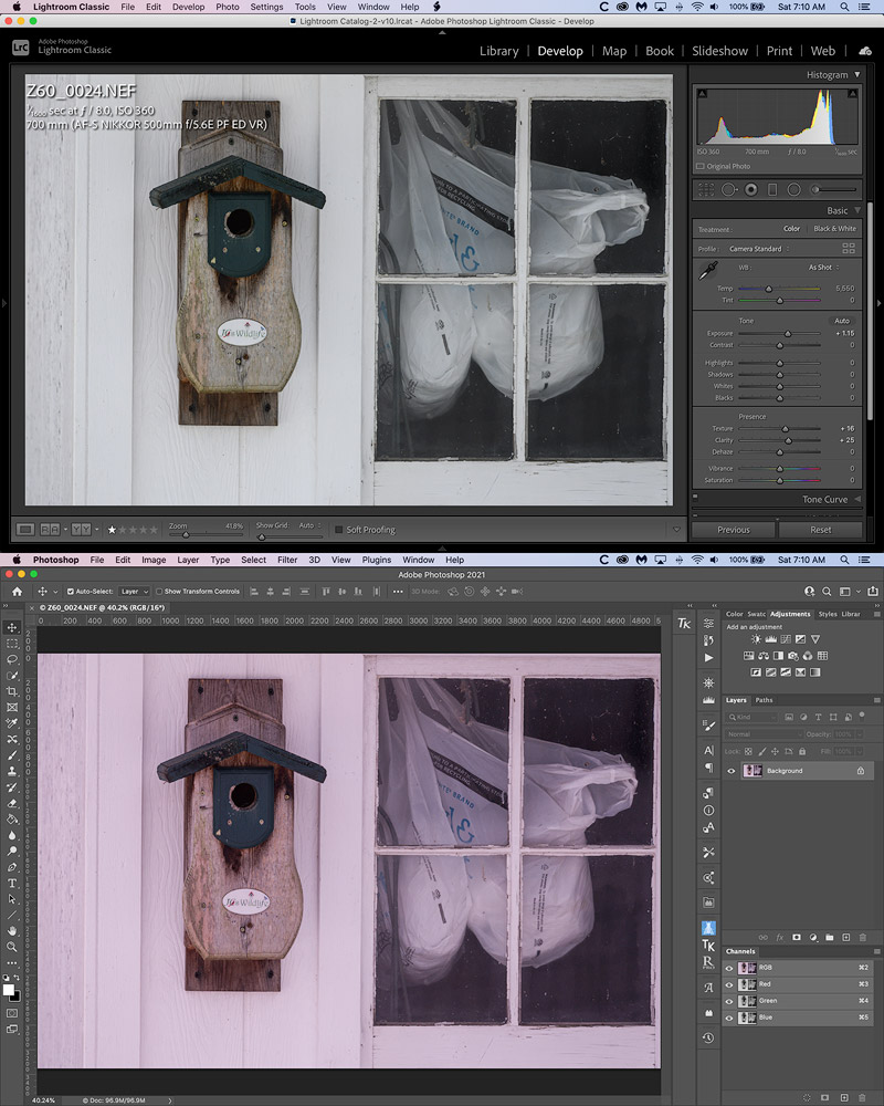 Z6-Lr-Ps-WB-Shift-2.jpg