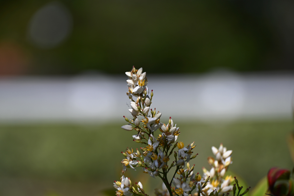 Z62_0082.jpg