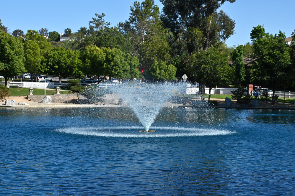 Z62_0085.jpg