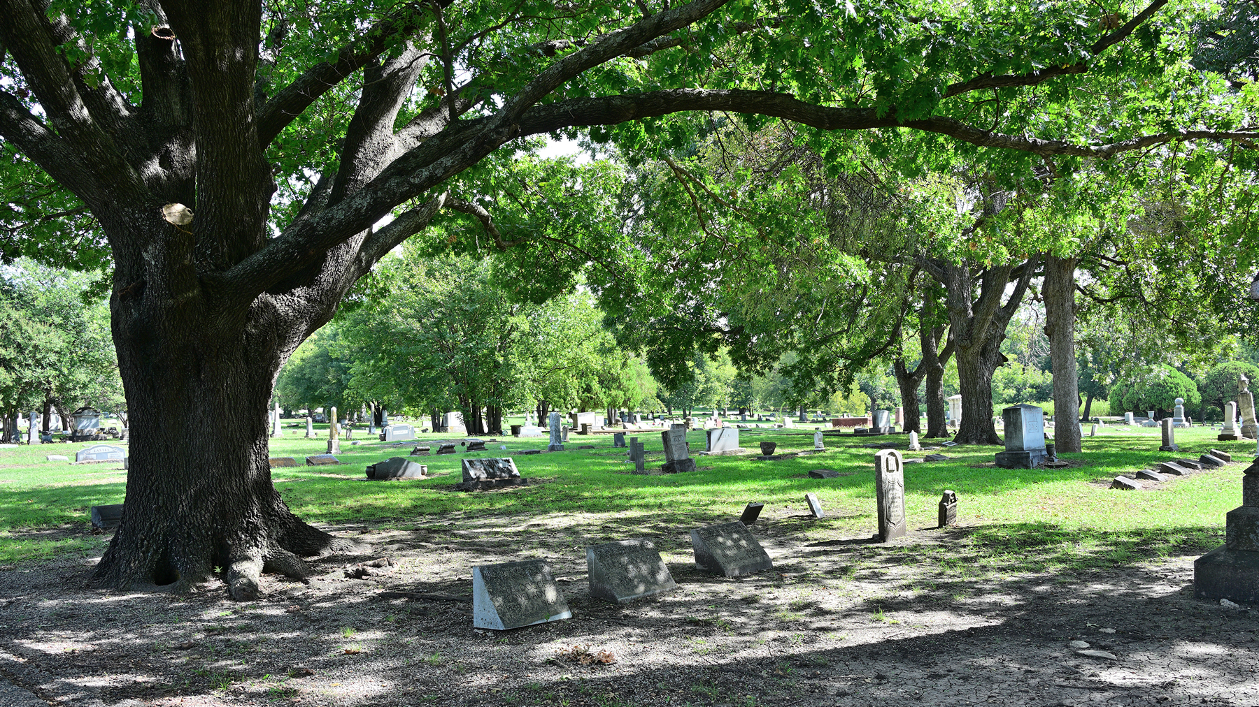 Z63_0405R_cr_sm.jpg