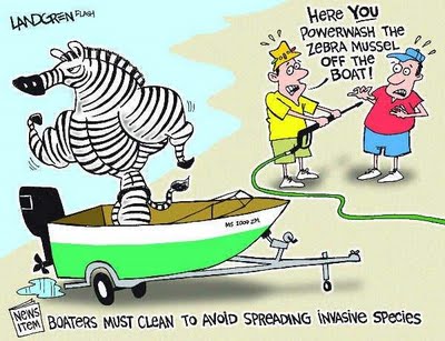 Zebra Mussel Cartoon.jpg