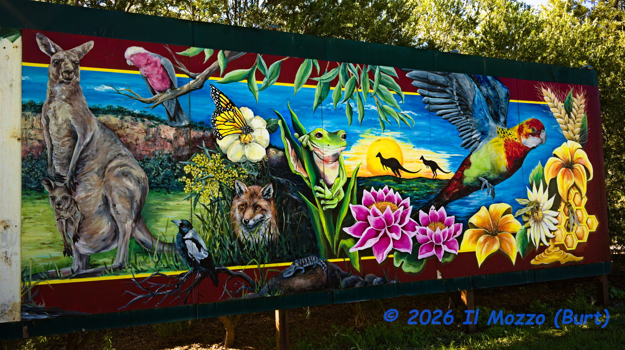 ZFC_1581-1.jpg