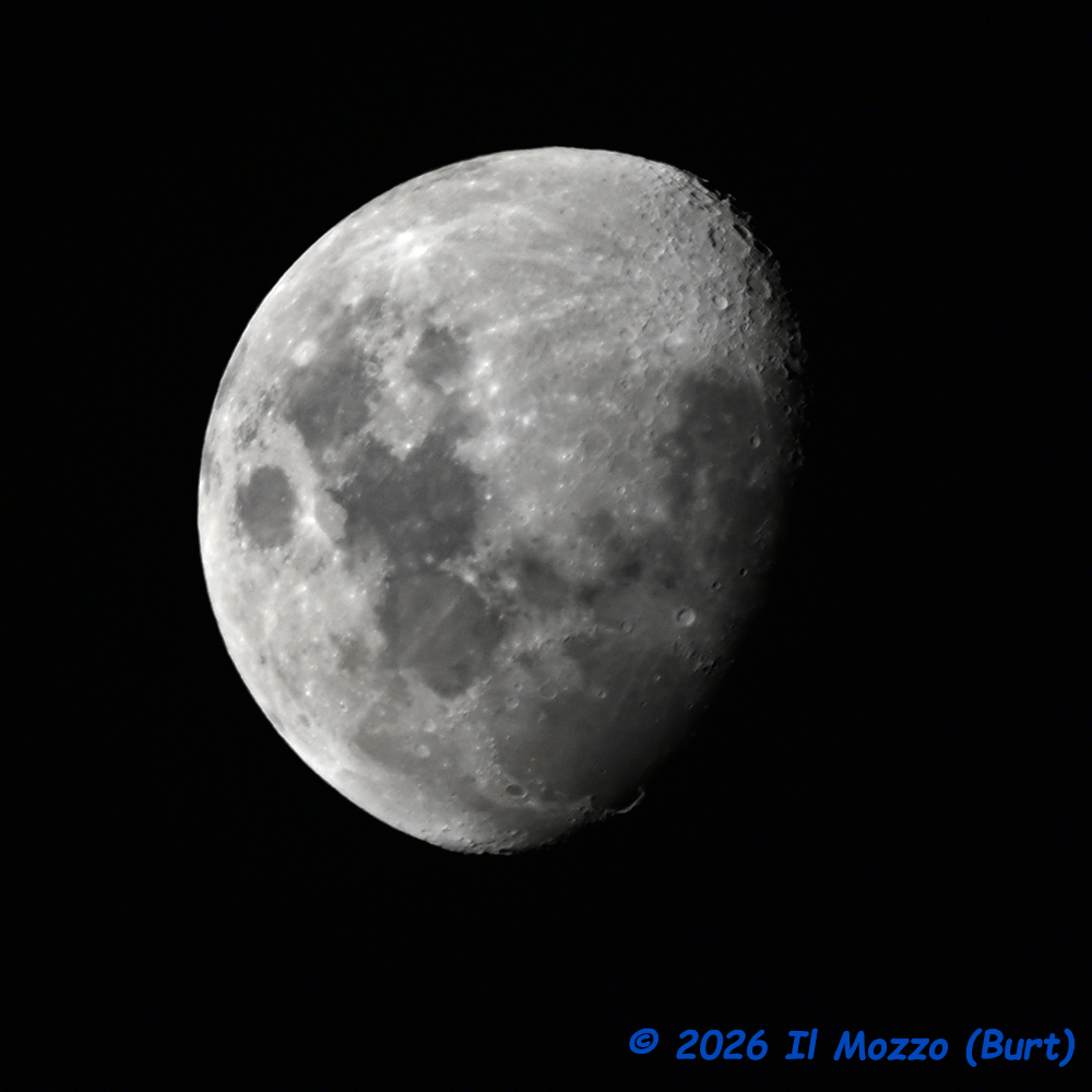 ZFC_1581-1.jpg