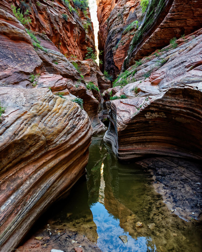 Zion Erosion_DxO.jpg