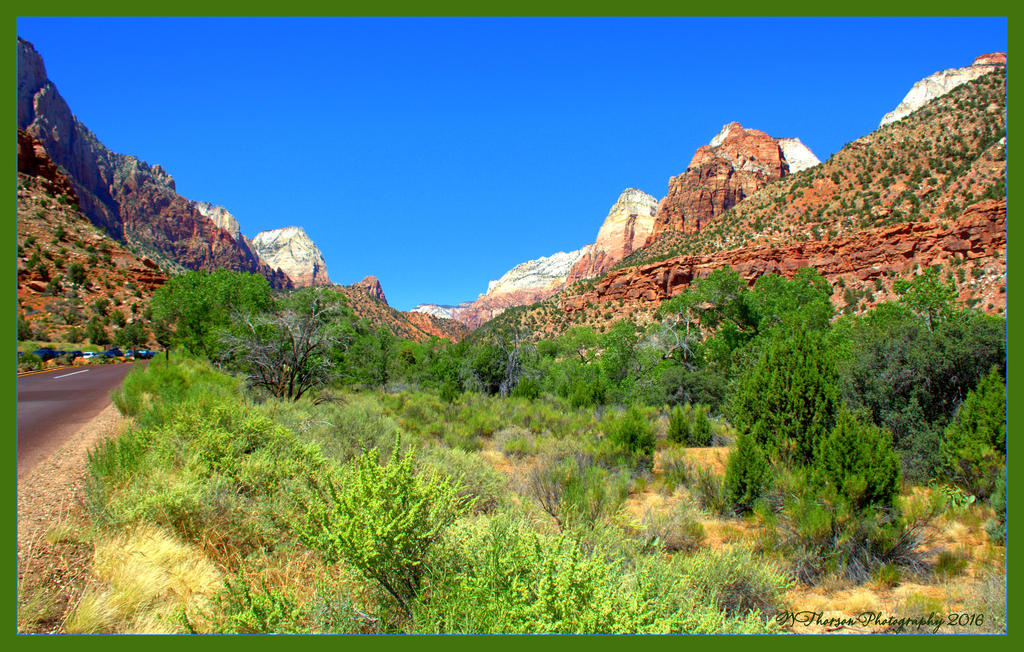 Zion National Park  6-16-2016.jpg