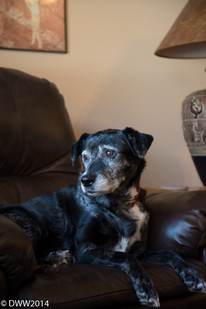 Zoey Stare.jpg