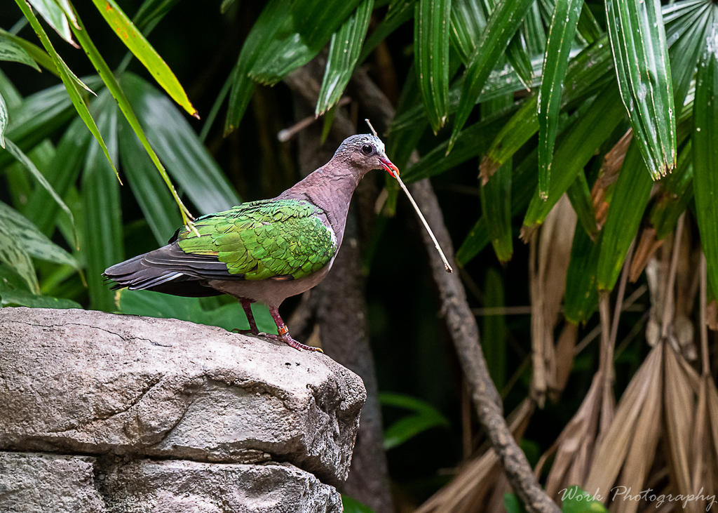 Taken at the Louisville Zoo.