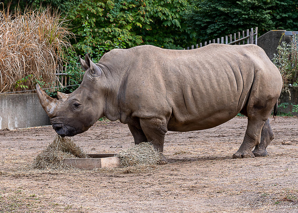 Louisville Zoo