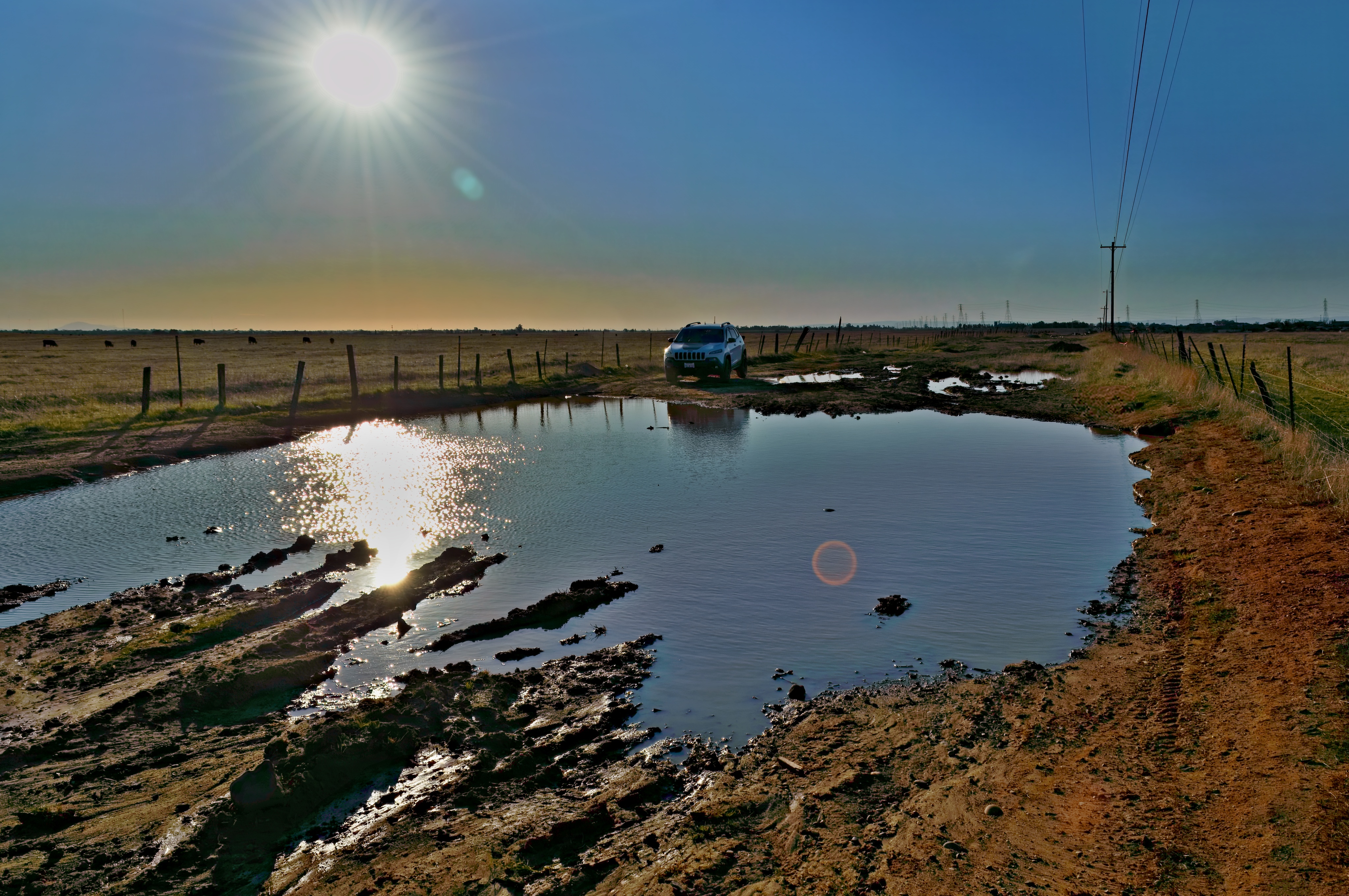 ZSC_2778-topaz-rawdenoise-remove4096.jpg