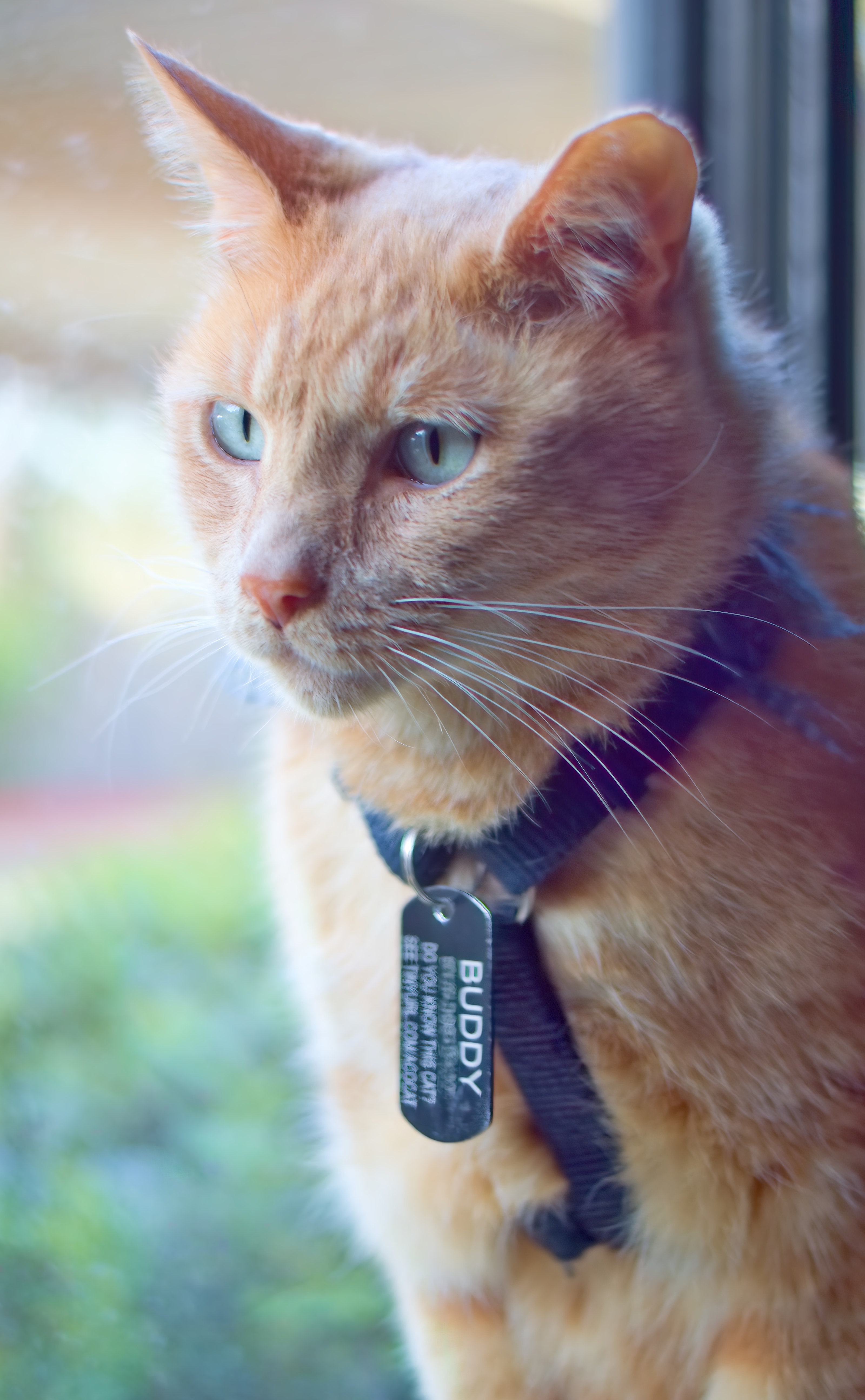 zsc_6900-topaz-denoiseraw-sharpeng-jpg.392047