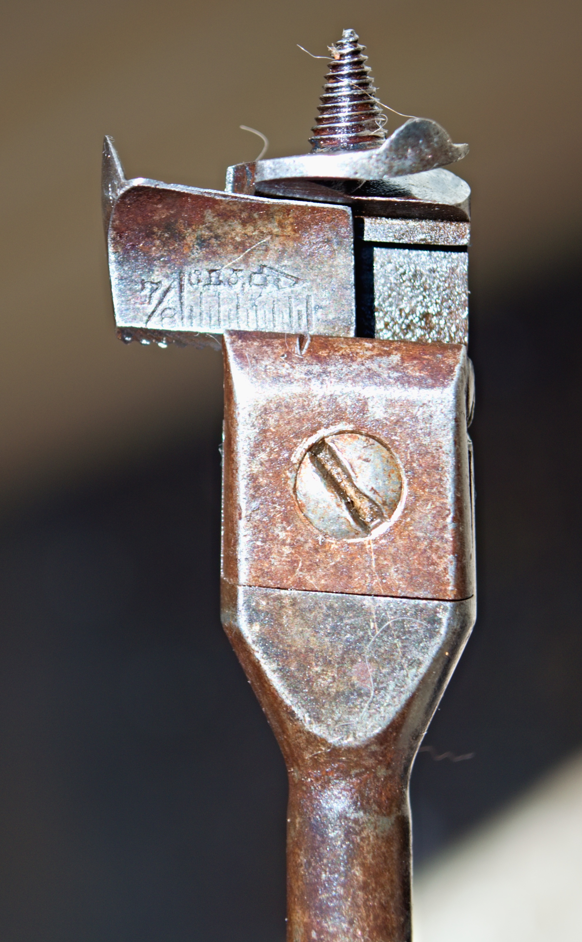 ZSC_7008g1978x3200.jpg