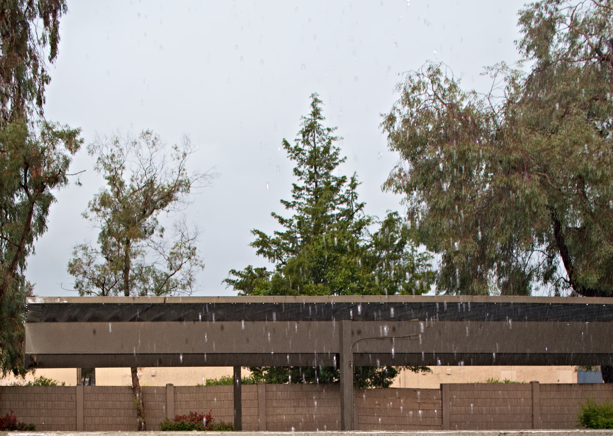 zsc_9607-topaz-enhance-2048w-sharpen-jpg.403993