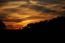 night sky.JPG