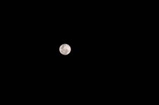 _DSC9620.jpg