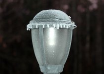 Chilly Lamp.jpg