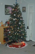 Project 365  1-1-11  Christmas Past.jpg