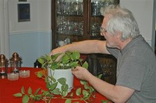Plant Rescue.JPG