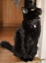 DSC_4703.jpg