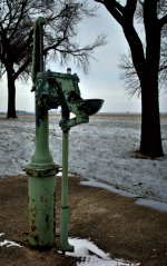 DSC_4746.jpg