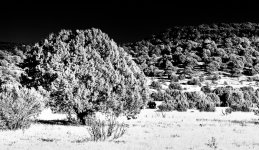 _DSC0576_77_78_79_80_tonemapped-Edit.jpg
