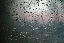 22-carwash.jpg