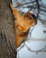 DSC_4928r.jpg