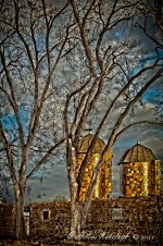 _DSC0012-Edit-Edit.jpg
