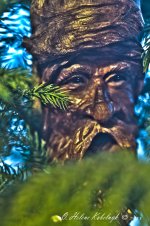_DSC0028-Edit.jpg
